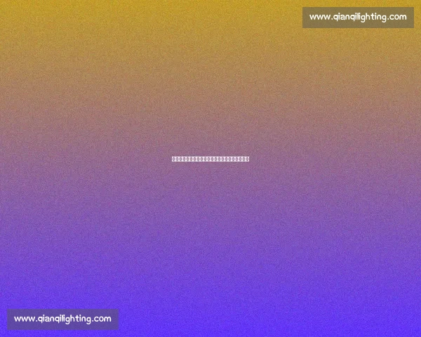 挑战世界马拉松大满贯:从新手到六星跑者的旅程 挑战世界马拉松大满贯:从新手到六星跑者的旅程